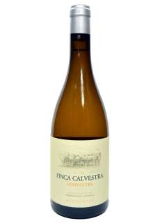 Бели вина Finca Calvestra Merseguera