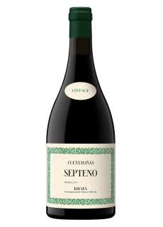 Червени вина Cuentaviñas Septeno