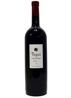 Червени вина Fagus Magnum