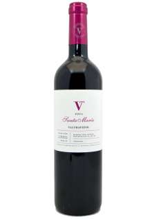 Червени вина Valtravieso  2020 - 6 Uds.