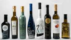 Jaén Selection, 2018