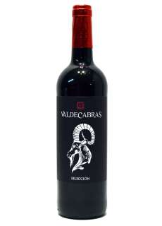 Valdecabras Selección